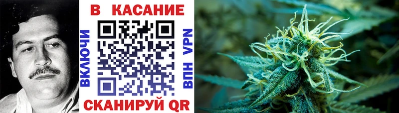 Купить наркотики сайты Сурск A PVP АМФЕТАМИН Меф ГАШИШ Кокаин МЕТАМФЕТАМИН Конопля