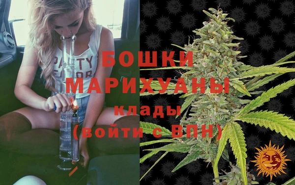 твердый Снежногорск