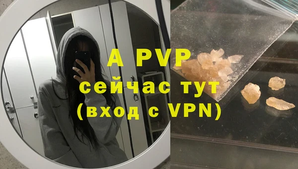 твердый Снежногорск