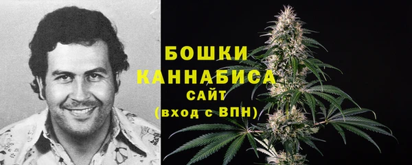 кокс Ленск