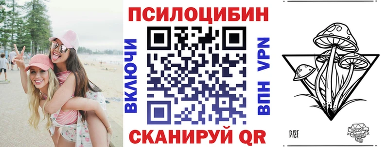 Псилоцибиновые грибы Cubensis Сурск